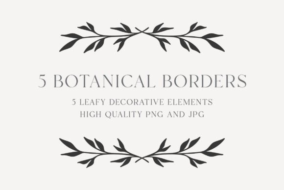 Download Botanical Border Bundle | Elegant Frames - Premium Bundle